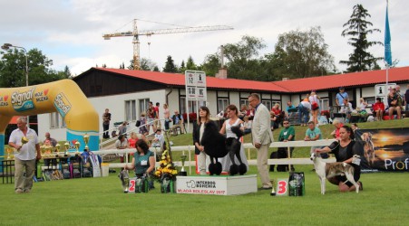 interdogbohemia_2017_prehled-cestnych-trid_v-kruhu_uzsi-vyber_v-poradi_2.jpg